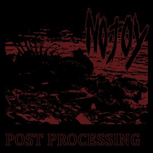 Post Processing