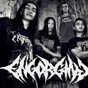 Engorging 的头像