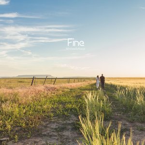 Fine