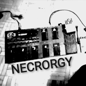 Necrorgy 的头像