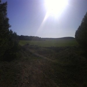 Unkle - Single