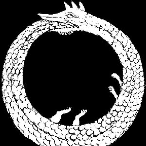 Avatar for The Eternal Returns