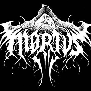 Mørtvs 的头像