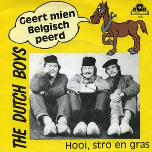 Geert Mien Belgisch peerd / Hooi, stro en gras