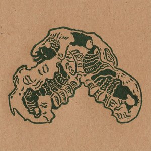 Carapace