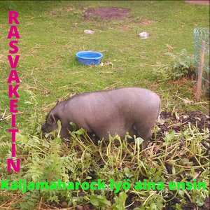 Rasvakeitin 的头像
