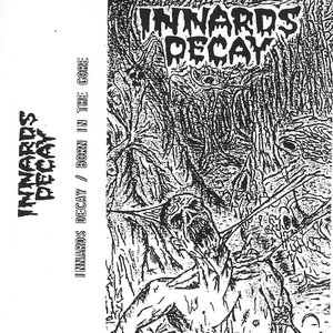 Innards Decay 的头像