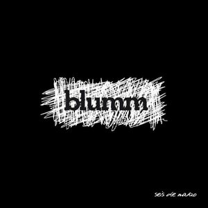 blumm 的头像