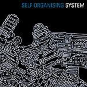 Self-Organising System