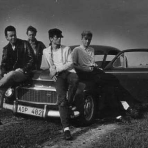 Underjordiska Lyxorkestern photo provided by Last.fm