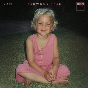 Redwood Tree - Single