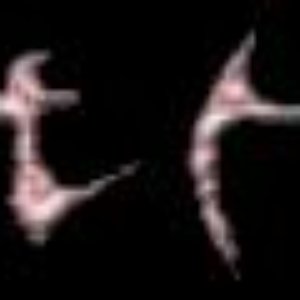 Serpent Moves 的头像
