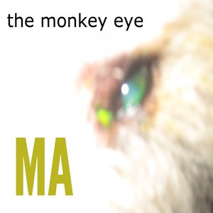 The monkey eye