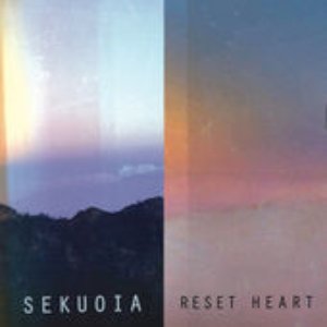 Reset Heart