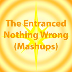 Image pour 'Nothing Wrong (Mashups)'