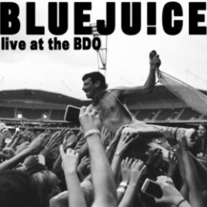 Live At The Big Day Out 2014