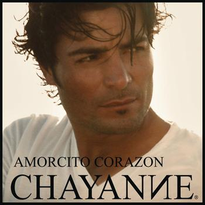 Chayanne - Amorcito Corazon [Single] - Zortam Music
