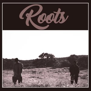 Roots