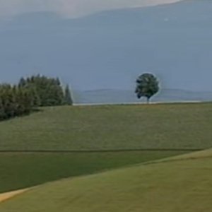 生