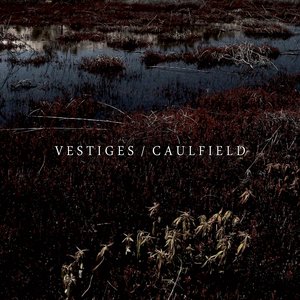 Vestiges / Caulfield