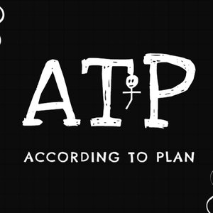 According To Plan 的头像