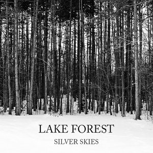 Silver Skies