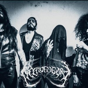 Necrofagore 的头像