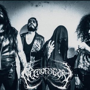 Аватар для Necrofagore