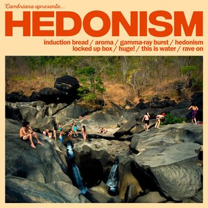 Image for 'Hedonism'