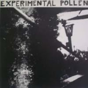 Experimental Pollen #68 のアバター