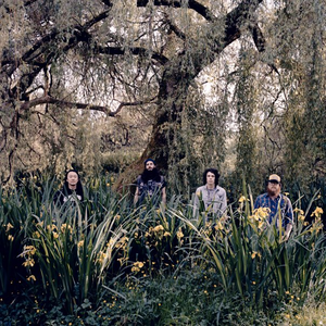 Bison B.C. photo provided by Last.fm