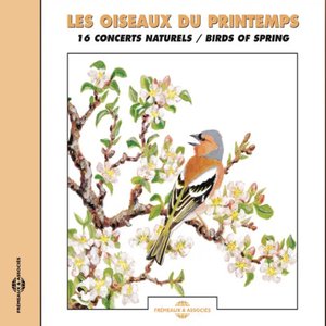 Birds Of Spring