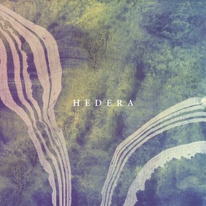 Hedera