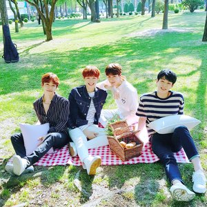 Avatar for 허니스트