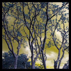 Azure Tears (feat. SERAPHINE NOIR) - Single