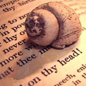 “Snails in Folklore”的封面