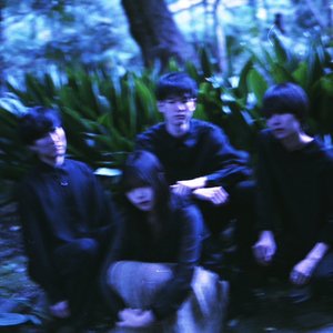 Cephalo 的头像