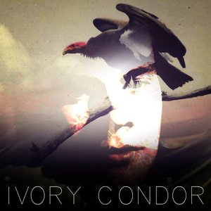 Ivory Condor 的头像