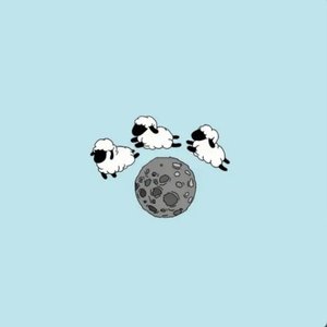 Counting Sheep...
