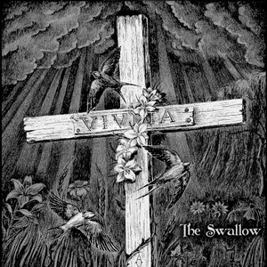 The Swallow