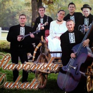Image for 'SLAVONSKI DUKATI'