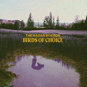 Birds of Choice