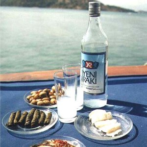 Meyhane Şarkıları 的头像