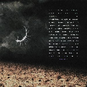 harvesting dead fields