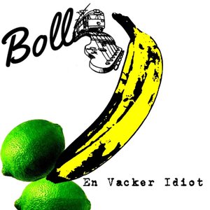 En Vacker Idiot