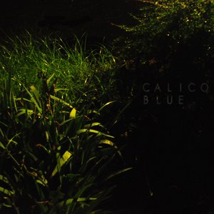 Calico Blue