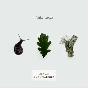 20 anos a contratempo