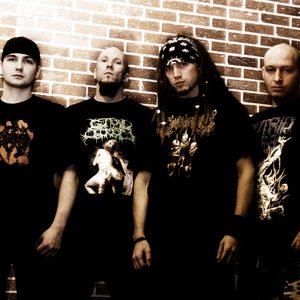 Perverse Dependence 的头像