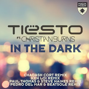 In The Dark (Remixes)