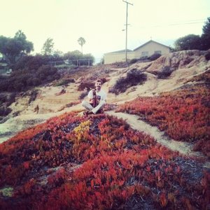 Ice Plants 的头像
